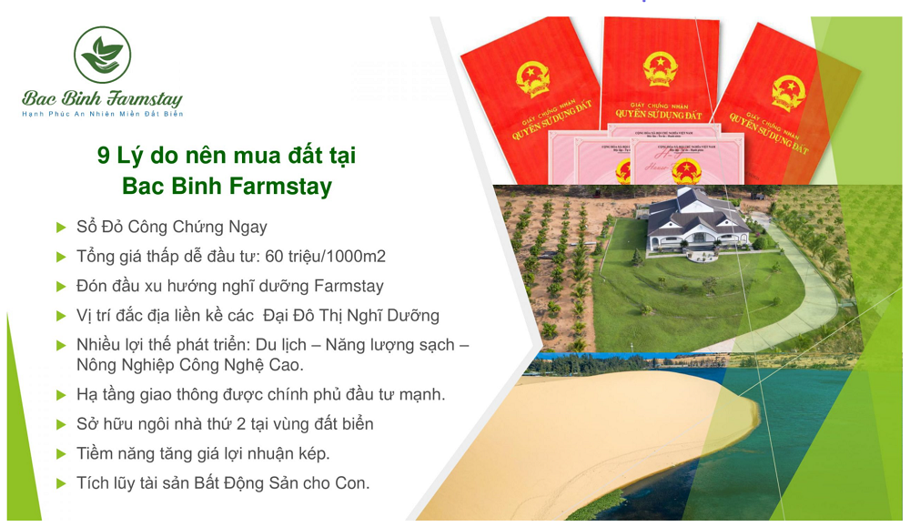 Bac Binh Farmstay 8 - Bắc Bình Farmstay